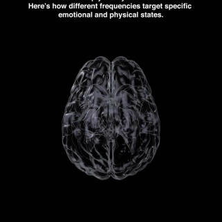 Sound isn’t just something you listen to. Your body literally feels it. When you’re running on stress, anxious thoughts, or endless screen time, your nervous system is stuck on overdrive. Your brainwaves are firing in scattered, frantic patterns.
Through a natural process called Brainwave Entrainment, your brain’s electrical pulses automatically begin to align with the rhythms and frequencies around you. Research shows that specific acoustic vibrations activate your vagus nerve the body’s built-in reset button.
That’s why we curated the 13 Specialized Frequency Tracks loaded directly onto the Wellness Vibe MP3 Player—giving you a dedicated, screen-free way to reset your mind whenever life feels overwhelming:
What you get inside:
Instruction Track: Simple guidance to get the most from your practice
Morning Sun Meditation: Gentle cellular energy to start your day clear-headed
Chakra Tuning: Restores balance across your body’s energy centers
Earth Frequency: Deep grounding when your head won’t stop spinning
Relationship & Harmony: Clears emotional friction and softens defensiveness
Concentration & Learning: Sharpens focus, memory, and cognitive flow
Personal Growth: Subconscious rewiring to break old, heavy mental loops
Well-Being: Restorative vibrational support for overall vitality
Prosperity & Success: Shifts the mind out of lack and into possibility
Business Intuition & Growth: Calms the noise for sharper decision-making
Weight Loss & Metabolism: Supports balanced body awareness and stress regulation
Sleep Music: Low delta tones that effortlessly pull you into deep, uninterrupted sleep
Moon Frequency: Cooling, quiet energy for intense emotional turbulence
(Bonus: Vastu Nada Shuddhi track to clear stagnant energy in your space)
No notifications. No glowing phone screens keeping your brain awake. Just pure, targeted sound medicine right in your pocket.
✨ We’re currently running a Festive Offer on the Wellness Vibe Sound Player.
Comment "FREQUENCY" below and we’ll send the link straight to your DMs, or tap the link in our bio to claim yours.
#WellnessVibe #PocketSoundTherapy #FrequencyHealing