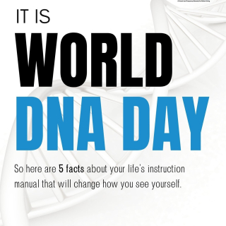 3 billion letters of code. Zero margin for error.

Your DNA is the most sophisticated operating system on the planet—an intricate blueprint that dictates your potential before you even speak a word.

But while your biological code is fixed, your Business DNA is something you can actually influence.

Most leaders operate on "default settings." The elite learn to re-pattern.

In honor of World DNA Day, we are opening doors to a deeper level of alignment. Join us for the Business DNA Re-Patterning Workshop, where we move beyond biology and into the architecture of your professional impact.

The blueprint is yours. The frequency is your choice.

#WellnessVibe